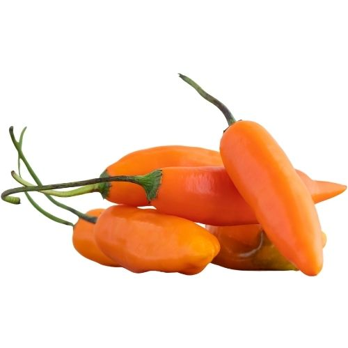 Ají Amarillo Peruano